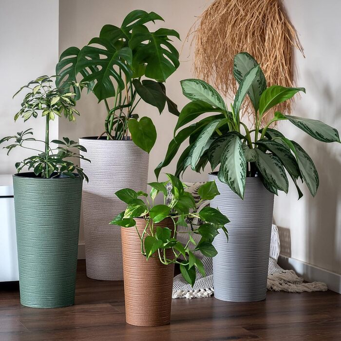 Набір горщиків KADAX (3 шт.) з дерев'яною стружкою, елегантні кашпо з винімною вставкою, захист для квітів (кремовий, 3 шт. - 19,25,30 см)