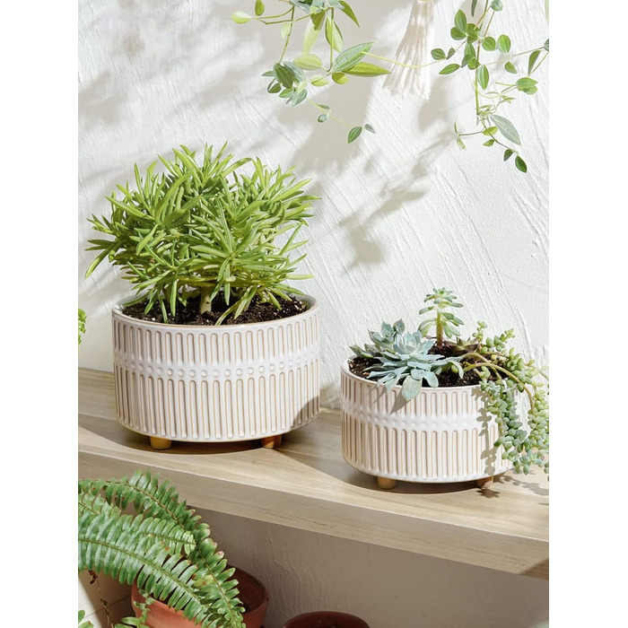Набір горщиків для сукулентів LE TAUCI, 16,5+20 см, кераміка, з дренажними отворами, сучасний циліндричний дизайн, набір 2 шт., реактивна глазур білого кольору