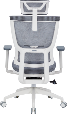 Крісло офісне OfficePro Elegant OC660-W-DG-DG