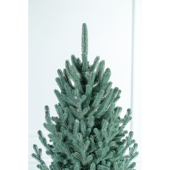 Ялинка лита 'Віденська' Блакитна 3,00м