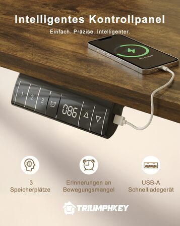 Стіл для комп'ютера регульований 200x80 см з USB, 3 режими пам'яті, антиколізійна система, електричний стіл для роботи стоячи, вінтажний коричневий+білий