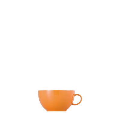 Чашка капучино 380 мл, апельсин Sunny Day Orange Thomas