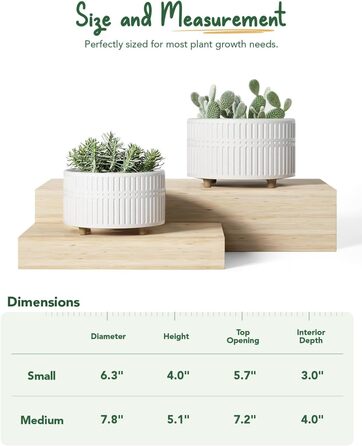 Набір горщиків для сукулентів LE TAUCI, 16,5+20 см, кераміка, для дому, з дренажними отворами, сучасний циліндричний дизайн, 2 шт. (білий)