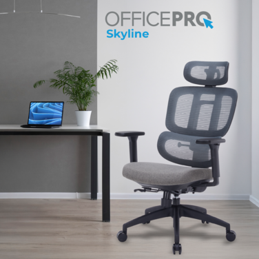 Крісло офісне OfficePro Skyline OC580-B-DG-DG