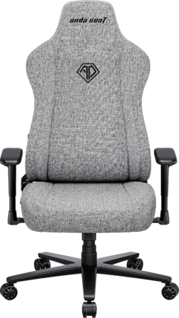Крісло ігрове Anda Seat Novis Gray Fabric Size XL