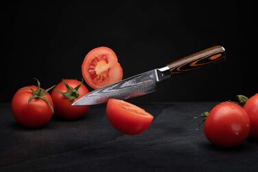 Ніж кухарський Damast від Wolfblood (24см) з нержавіючої сталі Damast, 67 шарів, з дерев'яною ручкою, сертифікований TÜV, у подарунковій коробці з захистом леза