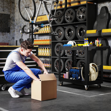 Набір інструментів на коліщатках з двома ящиками, ручка, колеса, пластик, чорний