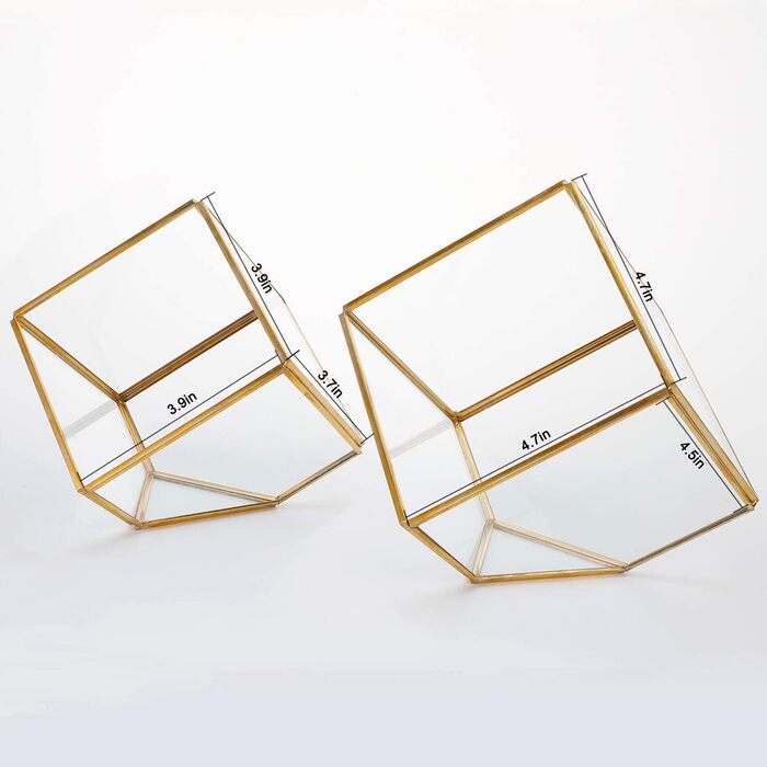 Скляне терассіум ElegantLife Geometris для сукулентів та повітряних рослин (кубічна форма, золото, чорний)