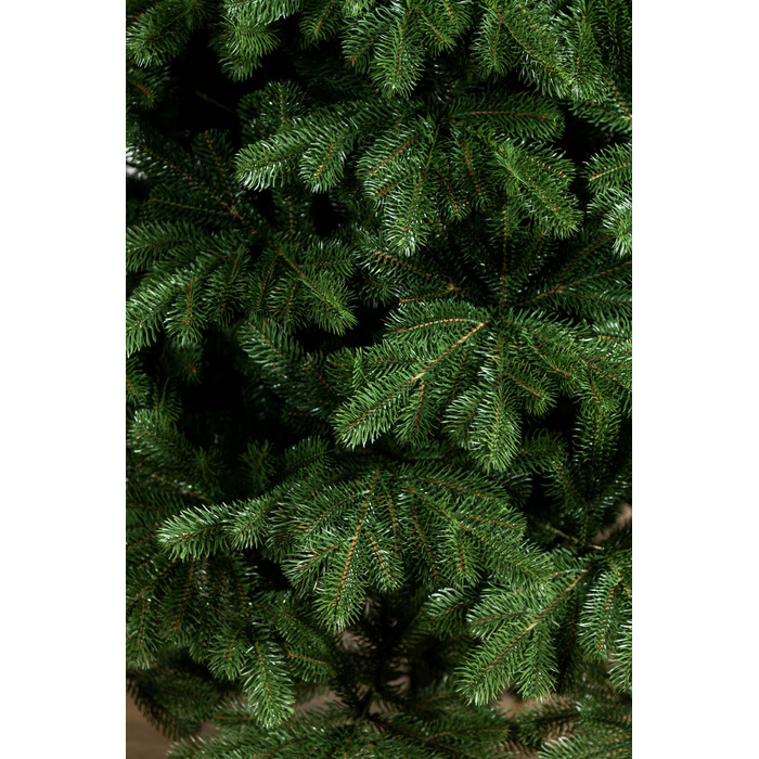 Ялинка лита 'Версальська' Зелена 2,10м