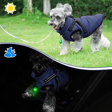 Куртка для собак зимова, водонепроникне пальто для собак, зимова куртка для маленьких собак, флісова підкладка, D-кільце, застібка-блискавка, розмір M, синій