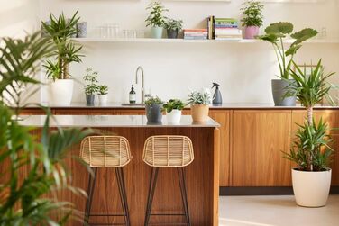 Горщик для квітів Elho Brussels Rund Rollen 35 - Чорний/Антрацит, 35 см, з роликами, з переробленого пластику