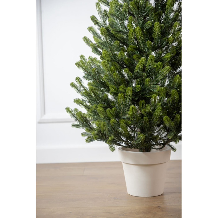 Ялинка лита 'Віденська' в горщику ВЕСНЯНА 1,10м