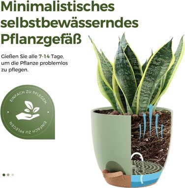 Набір горщиків для квітів Bamworld 6 шт. з автополивом, 12.7-20.3 см, з підставкою, для кімнатних рослин та розсади