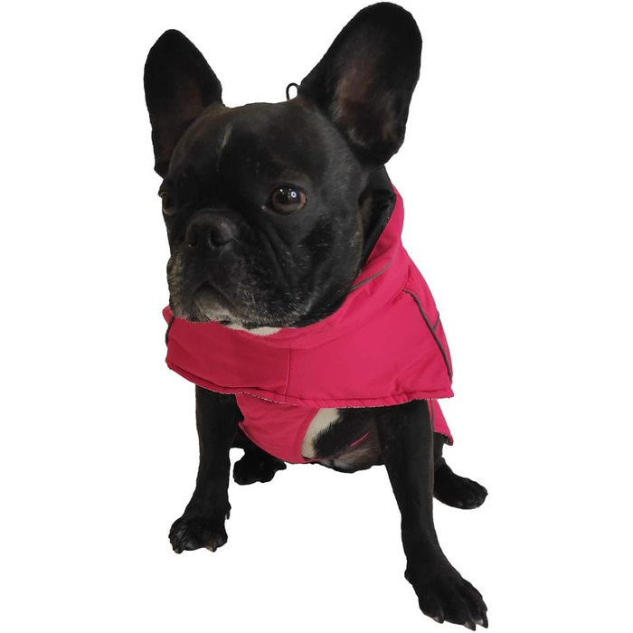 Куртка для собак Croci Hiking, водонепроникна, для собак, на підкладці, зимова, з термопідкладкою, K2, розмір - 151 г (Фуксія, 20 см)