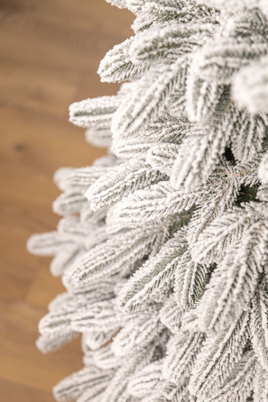 Ялинка лита 'Лапландська' ЗАСНІЖЕНА 2,50м