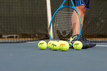 Тенісні м'ячі Penn Championship звичайні повстяні тенісні м'ячі (15 банок, 45 м'ячів)