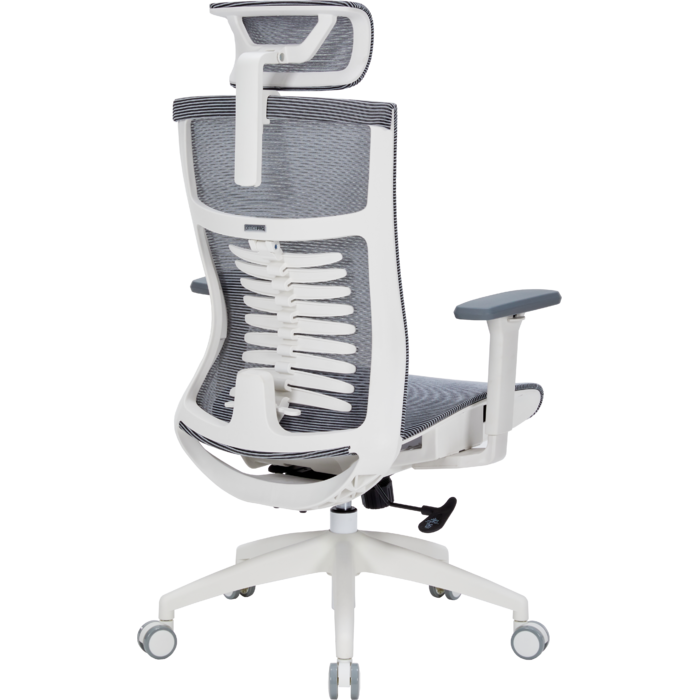 Крісло офісне OfficePro Balance OC620-W-DG-DG