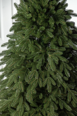 Ялинка лита 'Лапландська' ПАРАСОЛЬКА ЗЕЛЕНА 1,80м