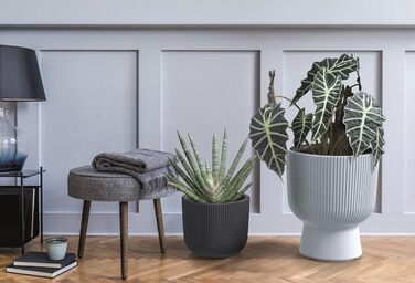 Плантатор для квітів DBMIG, горщик для рослин, циліндричний дизайн, рифлена поверхня, 36,5 см, антрацит, Ø 29,8 см