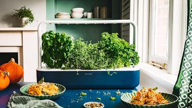 Click and Grow Indoor Garten: Розумний сад для вирощування зелені вдома з LED, 9 капсул (Синій)