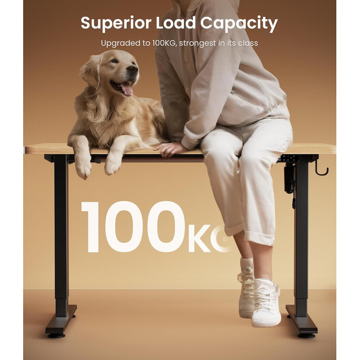 Електричний стіл MAIDeSITe з регулюванням висоти, 2 ніжки, 4 пам'яті, T1 Pro (Чорний)