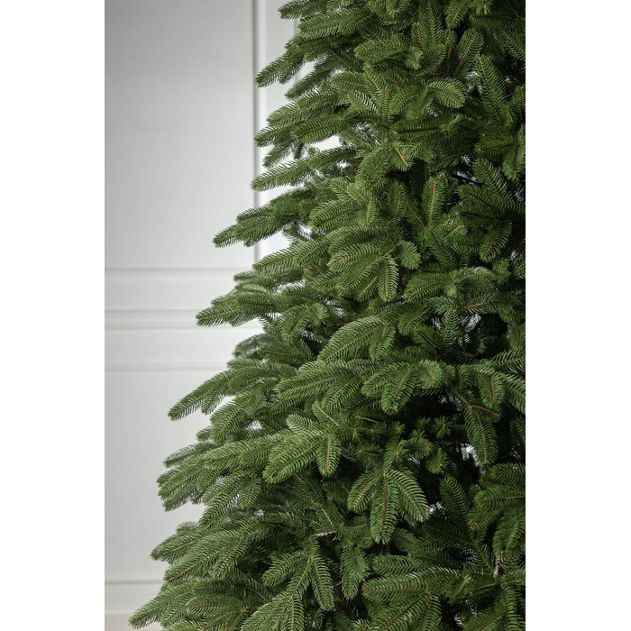 Ялинка лита 'Лапландська' ПАРАСОЛЬКА ЗЕЛЕНА 1,80м