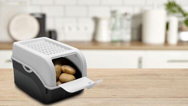 ARTECSIS Коробка для зберігання картоплі, білий колір, набір 2 шт. з кришкою, для 4 кг, з наліпками