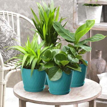 Набір горщиків для квітів з системою поливу (5 шт.), 17.8 см, з підставкою, для дому та балкону (темно-зелений)