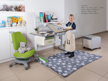 Дитячий стіл Mealux Woodville Multicolor W (арт. BD-850 W/MC)