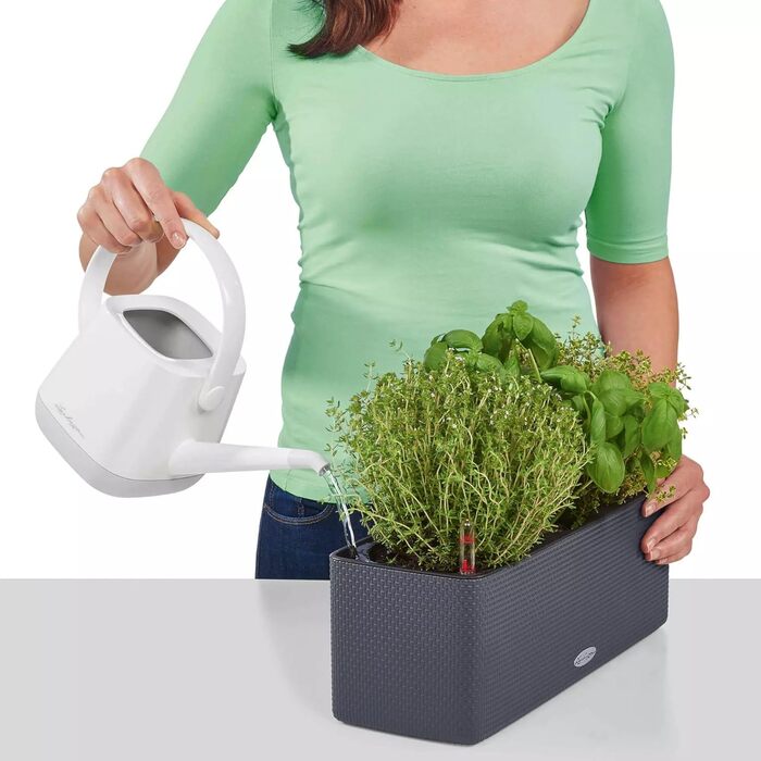 Горщик LECHUZA CUBE Color Triple (Сірий Шлахтер) 13680 (40x14x13,5 см)