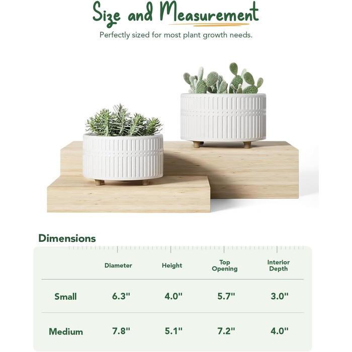 Набір горщиків для сукулентів LE TAUCI, 16,5+20 см, кераміка, для дому, з дренажними отворами, сучасний циліндричний дизайн, 2 шт. (білий)