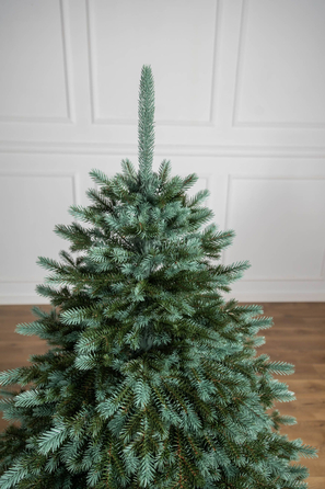 Ялинка лита 'Аляска' ПАРАСОЛЬКА ЗЕЛЕНА 1,50м