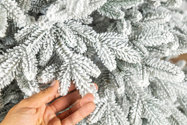 Ялинка лита 'Альпійська' ЗАСНІЖЕНА 2,50м