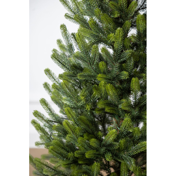 Ялинка лита 'Віденська' в горщику ВЕСНЯНА 1,10м