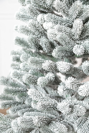 Ялинка лита 'Президентська' конусна ЗАСНІЖЕНА 1,80м