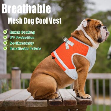 Долаховий собачий охолоджений, дихаючий охолоджуючий куртка для собак Регульований оммер Пальто для собак Світловідбиваючий одяг для яєць з регульованими ременями для великих середніх малих собак (M, помаранчевий)