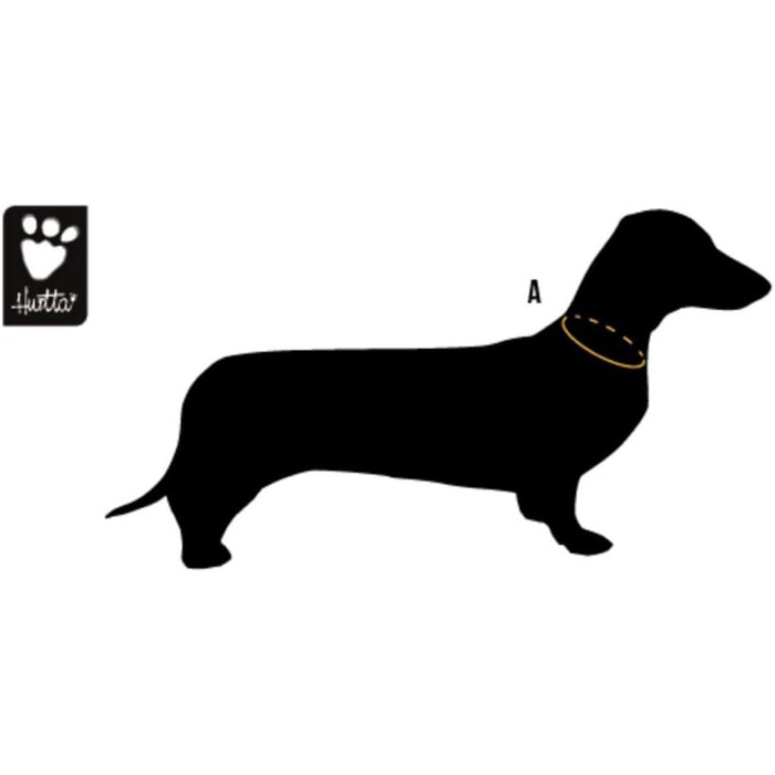 Нашийник для собак Venture, розмір L, 45-55 см, сірий