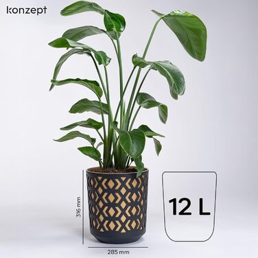 Квітчанка KONZEPT 30 см, 12 л, пластик, для дому та балкону, чорно-золота