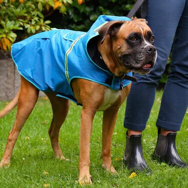 Дощовик для собак Bella & Balu водонепроникний з капюшоном і світловідбивачами, для прогулянок і відпочинку (M помаранчевий)