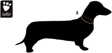 Нашийник для собак Venture, розмір L, 45-55 см, сірий