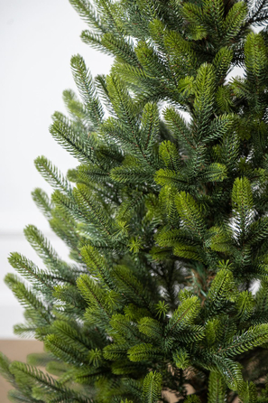 Ялинка лита 'Віденська' в горщику ВЕСНЯНА 1,10м