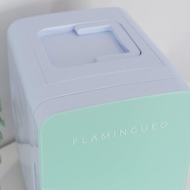Міні холодильник Flamingueo 10 л, 12V/220V, охолодження і нагрівання, компактний настільний холодильник для напоїв та їжі