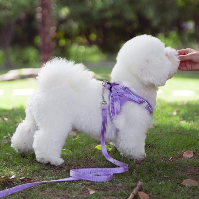 Шлейка для маленьких собак з фіолетовою підкладкою, шлейка для цуценят, шлейка для собак маленькі собаки XS Фіолетовий XS