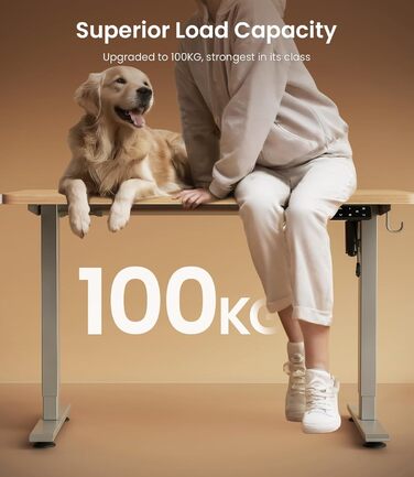 Електричний регульований стіл MAIDeSITe T1 Pro (Сірий) з 4 пам'яттю висоти та потужним мотором