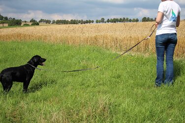 Повідець Activity4Dogs для собак нейлоновий, нековзний нековзний, довгий, з 4-ма регулюваннями, Багатофункціональний, для собак середнього і великого розміру, виготовлений в Німеччині, доступний в декількох кольорах (2,80 м, коричневий)