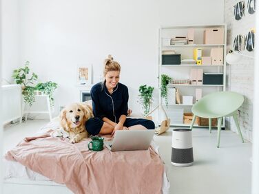 Повітряочисник WINIX ZERO Compact для алергіків з HEPA-фільтром проти алергенів, пилу, пилку, шерсті тварин, для курців, з індикатором якості повітря та авторежимом, очищувач повітря CADR 250 м³/год для приміщень до 50 м²