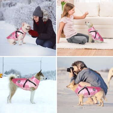 Зимове пальто для собак Oslueidy, одяг для домашніх тварин, водонепроникна куртка для цуценят, теплий жилет для собак, Одяг для домашніх тварин, вітрозахисний одяг для собак, світловідбиваючий зимовий костюм для кішок, для маленьких і середніх собак, роже