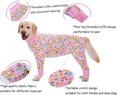 Комбінезон для собак BT Bear XL з рожевими квітами