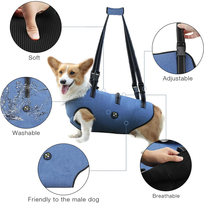 Шлейка для собак Coodeo, підйомний ремінь для домашніх тварин, підтримка і реабілітація, регульовані дихаючі ремені з м'якою підкладкою для літніх людей, інвалідів, травм суглобів (Синій, XS)