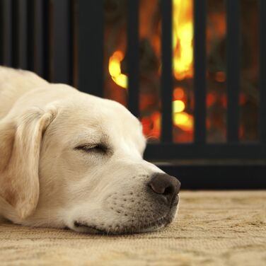 Захисний бар'єр Relaxdays з дверцятами, 4 секції